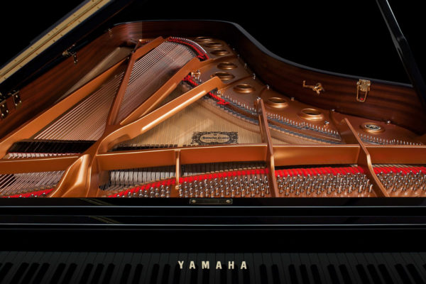 afinadores1-1536x1024