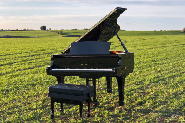 Piano para filme, 2021